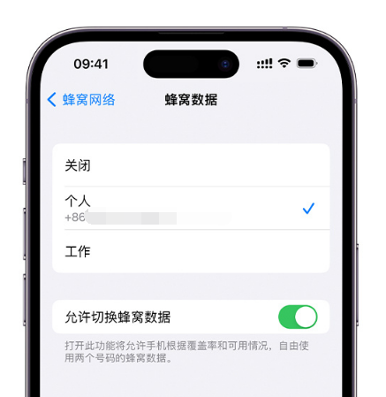 防城港苹果维修服务分享如何在iPhone上使用双卡 